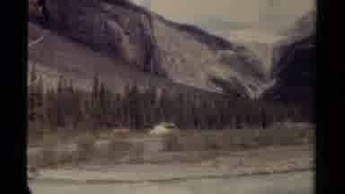 British Columbia Canada (1979): Two Pictures One Of Camels In Their Habitat And An
