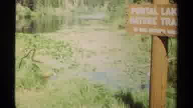 British Columbia Canada (1979): Hiking Trail Alongside Lily Pads And The Mountains