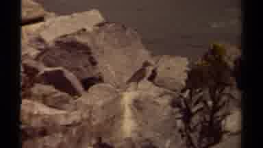 British Columbia Canada (1979): Beautiful Bird Perched On Wonderful Stone Rock It