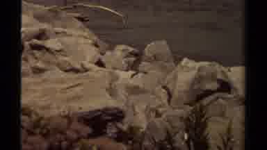British Columbia Canada (1979): A Small Bird Hopping Around On Rocks Next To A
