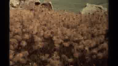 British Columbia Canada (1979): River Flowing Gently With Large Mountains In