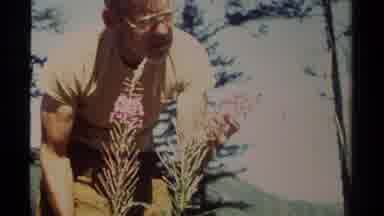 British Columbia Canada (1979): A Man Standing In A Nature Setting Looking Closely