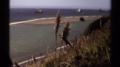 Mendocino California USA (1980): View If Cranes On A Beach On A Bright Sunny Day