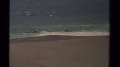 Mendocino California USA (1980): Two Pelicans Hovering Over The Sandy Coastline