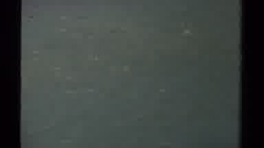Mendocino California USA (1980): Natural Show Of Swimming Cute Duck Couples On The