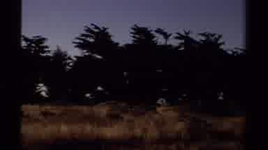 Mendocino California USA (1980): Dry Grasses Palm Trees And River Flowing In The