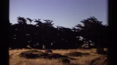 Mendocino California USA (1980): A Beautiful View Of The Ocean And Mountain Peaks