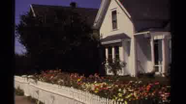Mendocino California USA (1980): A View Of Many Houses Surrounded By Beautiful