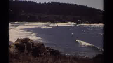 Mendocino California USA (1980): River With Trees Blue Skies And Sunny Day