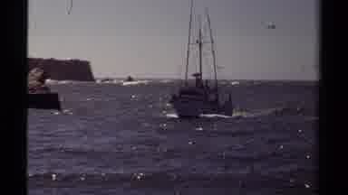 Mendocino California USA (1980): Ship Sailing Through Sea Bird Flying In