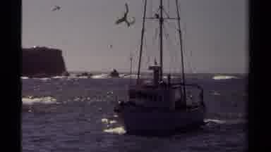 Mendocino California USA (1980): Fishing Boat Returns To Shore