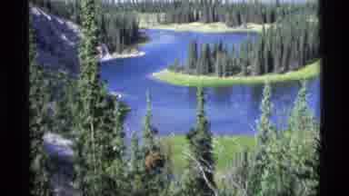 Alaska USA (1977): Amazing Forest With Pine Trees And Blue Lake For Adventures