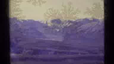 Alaska USA (1977): Leaves Flashing In Front Of A View Of Snow Covered Mountains