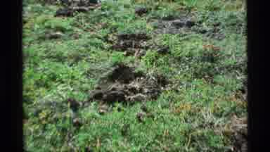 Alaska USA (1977): Vintage Home Video Of Natural Elements Including Mountains And