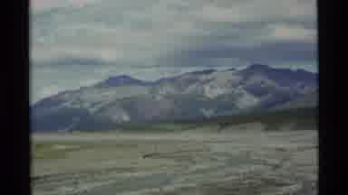 Alaska USA (1977): Moose Roaming Fields Between Mountains