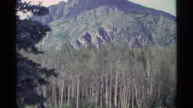 Alaska USA (1977): Scene Of A Mountain And Trees And Then Changes To Mountain With