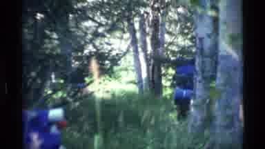 Alaska USA (1977): A Group Of Hikers Walking Through The Woods