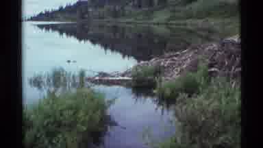 Alaska USA (1977): A View Of An Isolated Swamp Land