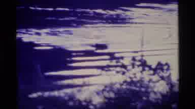Alaska USA (1977): Otter Swimming And Diving Near The Shore