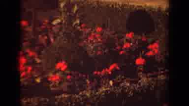 Paris France (1939): A View Of Historical Statues And A Beautiful Garden