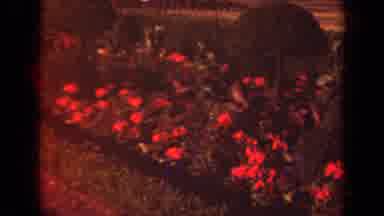 Paris France (1939): Scenic Landmark Garden With Red Flowers And Statues