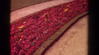 Paris France (1939): Camera Pans And Shows Us A Huge Garden Full Of Lovely Flowers