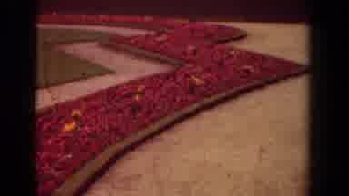 Paris France (1939): An Outdoor Flower Border With Red Cascading Flowered Shrubs