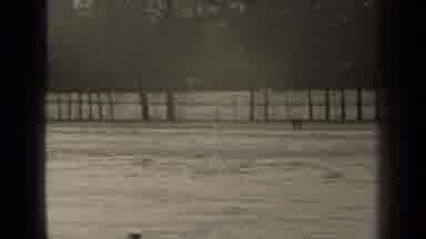 PARIS FRANCE-1947: Trees In The Background With Water And An Expansive View With