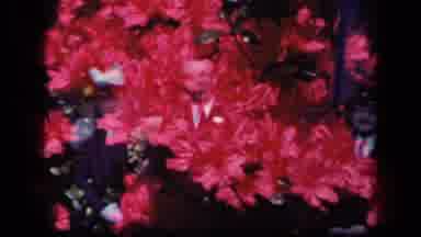 New York USA (1941): Double Exposures Of Flowers And Men And Women In Formal