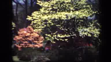 New York USA (1941): A Double Exposed Movie Showing Men On Horseback Over Bushes