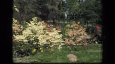 New York USA (1941): Beautiful Garden Bursting With Flowers On A Lovely Spring Day