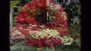 New York USA (1941): We See Several Different Plants And Flowers Blooming On A