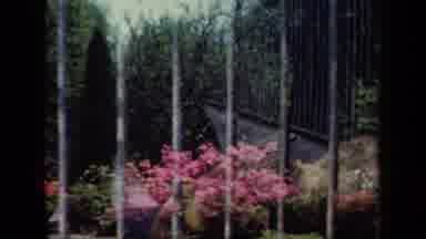 New York USA (1941): Two Short Clips Of A Colorful Garden And A Tree Overlayed