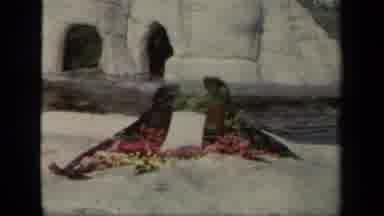 New York USA (1941): Zoo Free Sun Rocks Two Seals Mammals Playing Ground Food