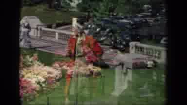 New York USA (1941): A Woman Standing In The Middle Of A Garden With Cars On The