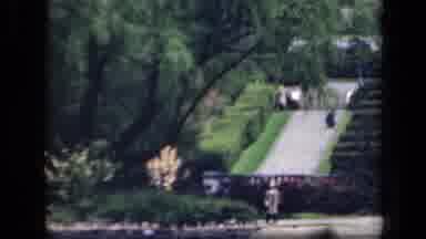 New York USA (1941): Japanese Garden Pavilion With Large Trees And Greenery Then
