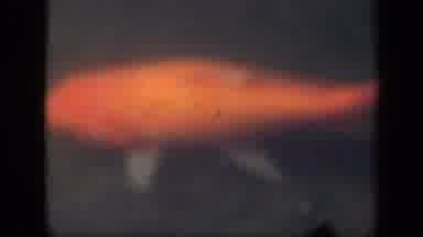 New York USA (1941): A Golden Colored Large Fish Is Moving In The Lake Of The
