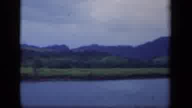 New York USA (1941): A View Of A Deserted Swamp Land