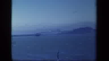 New York USA (1941): Water Plane Landing On Lake Or Ocean With Fog Excitement
