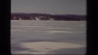 Sebring Ohio USA (1942): Hunting Summer Muskox Hunts In Southern Greenland Occur
