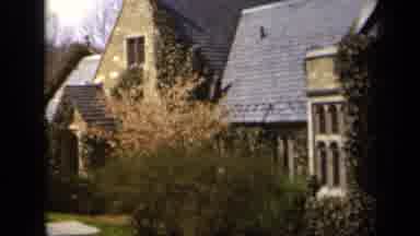 Baltimore Maryland USA (1943): Beautiful Tree Blooming In Spring In Front Of A