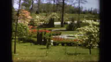 Baltimore Maryland USA (1943): Beautiful Garden With Trees And Flowers In A Sunny