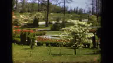 Baltimore Maryland USA (1943): Panning Video Of A Garden With Red And White Plants