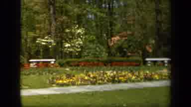 Baltimore Maryland USA (1943): Blooming Red Yellow And White Flowers On A Bright