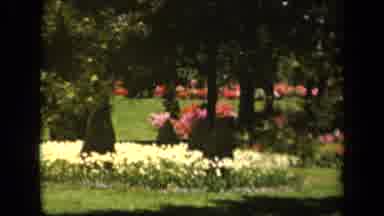 Baltimore Maryland USA (1943): Beautiful Huge Lush Garden Filled With Blooming