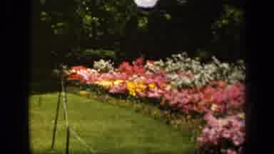 Baltimore Maryland USA (1943): A Beautiful Day In The Garden