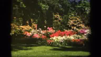 Baltimore Maryland USA (1943): Large Outdoor Garden With Several Different Kinds