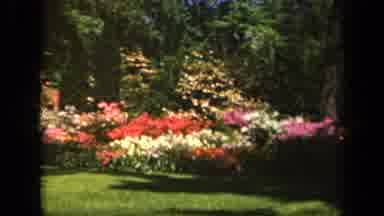 Baltimore Maryland USA (1943): Many Colorful Groups Of Flowers With A Well