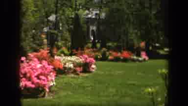 Baltimore Maryland USA (1943): Nice Shot Of A Yard With Lots Of Flowers On A Sunny