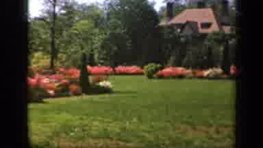 Baltimore Maryland USA (1943): Beautiful Garden With Colorful Flowers And A Flower
